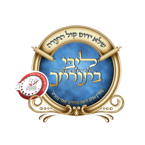 ליבי בתורתך